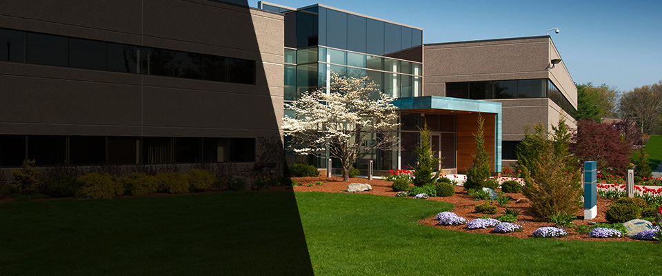 Plainview Landscapers