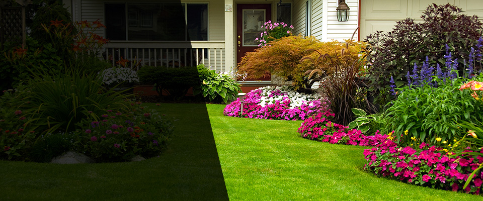Plainview Landscapers