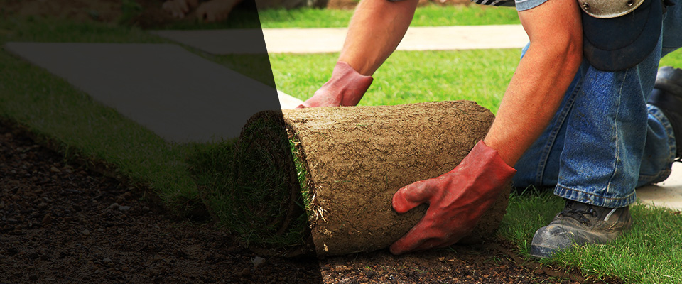 Plainview Landscapers